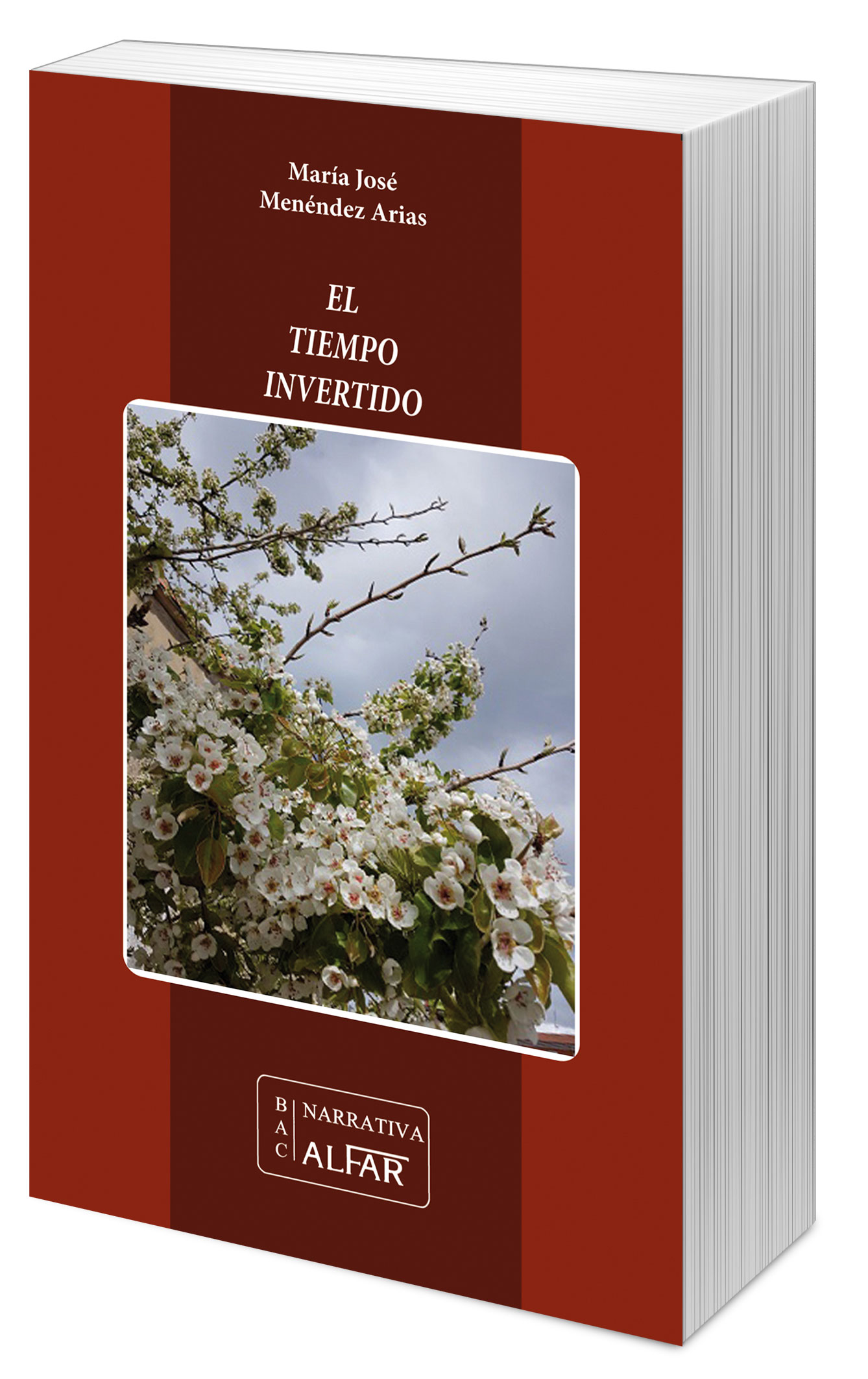 el-tiempo-invertido