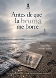 Portada de: Antes de que la bruma me borre